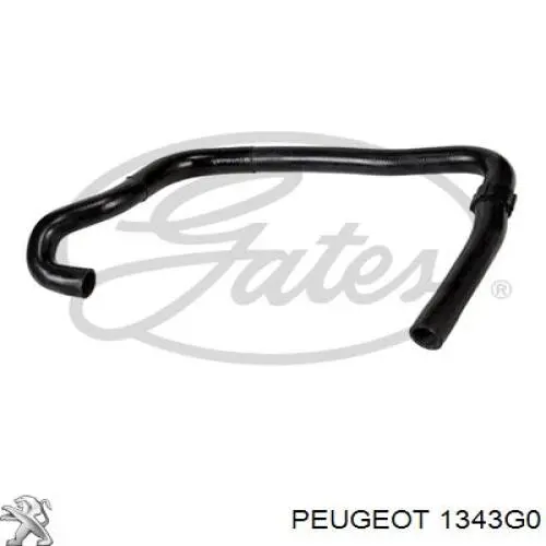 Шланг/патрубок радіатора охолодження, нижній 1343G0 Peugeot/Citroen