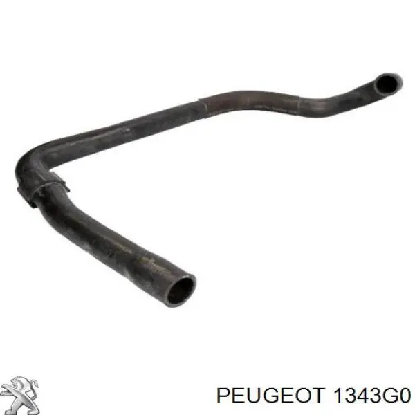 1343G0 Peugeot/Citroen Шланг/патрубок радіатора охолодження, нижній
