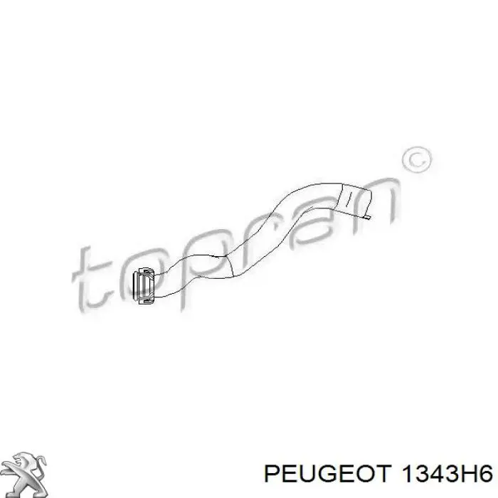 Шланг/патрубок радіатора охолодження, верхній Peugeot/Citroen 1343H6 ціна, від 21.23 USD