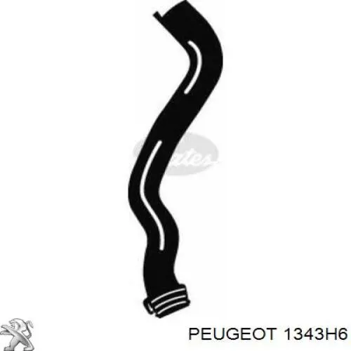 Купити 1343H6 Peugeot/Citroen Шланг/патрубок радіатора охолодження, верхній