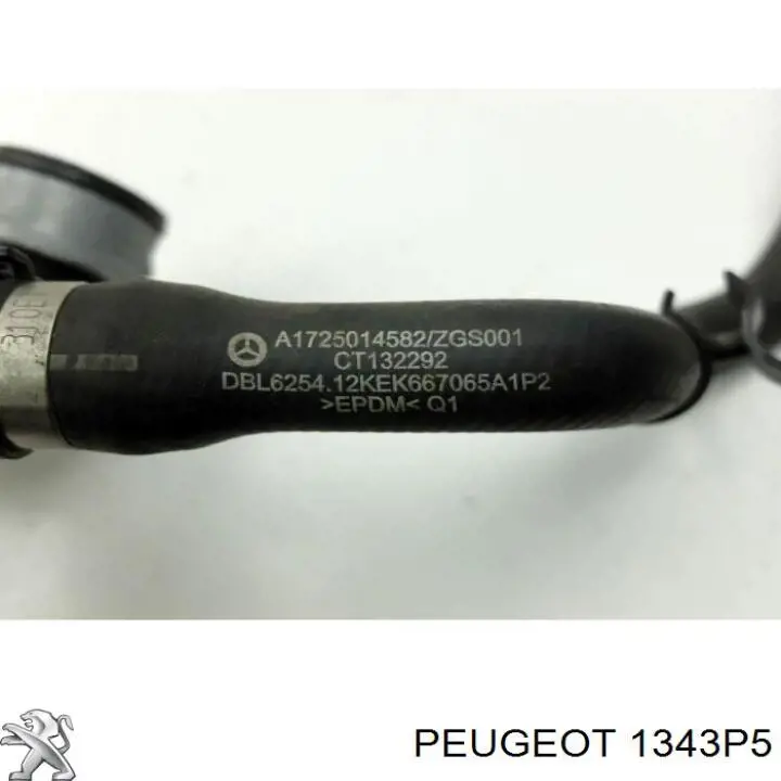 Шланг/патрубок радіатора охолодження, нижній 1343P5 Peugeot/Citroen