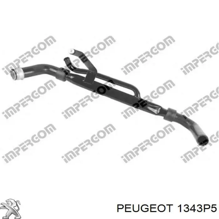 1343P5 Peugeot/Citroen шланг/патрубок радіатора охолодження, нижній
