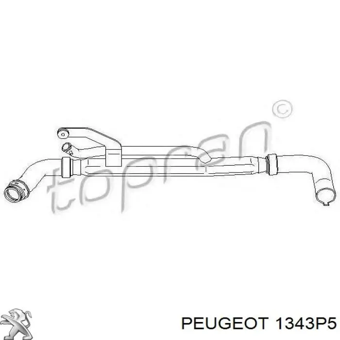 Шланг/патрубок радіатора охолодження, нижній Peugeot/Citroen 1343P5 ціна, від 57.47 USD