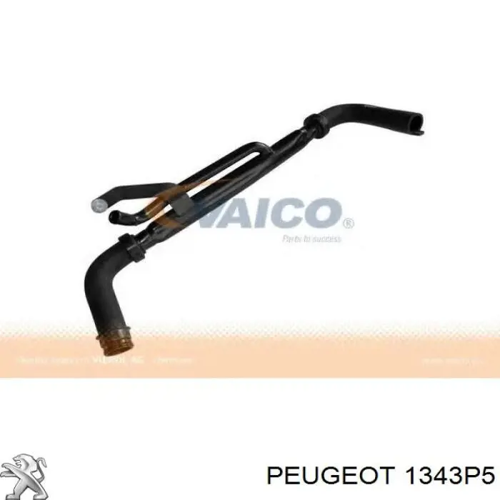 Купити 1343P5 Peugeot/Citroen Шланг/патрубок радіатора охолодження, нижній