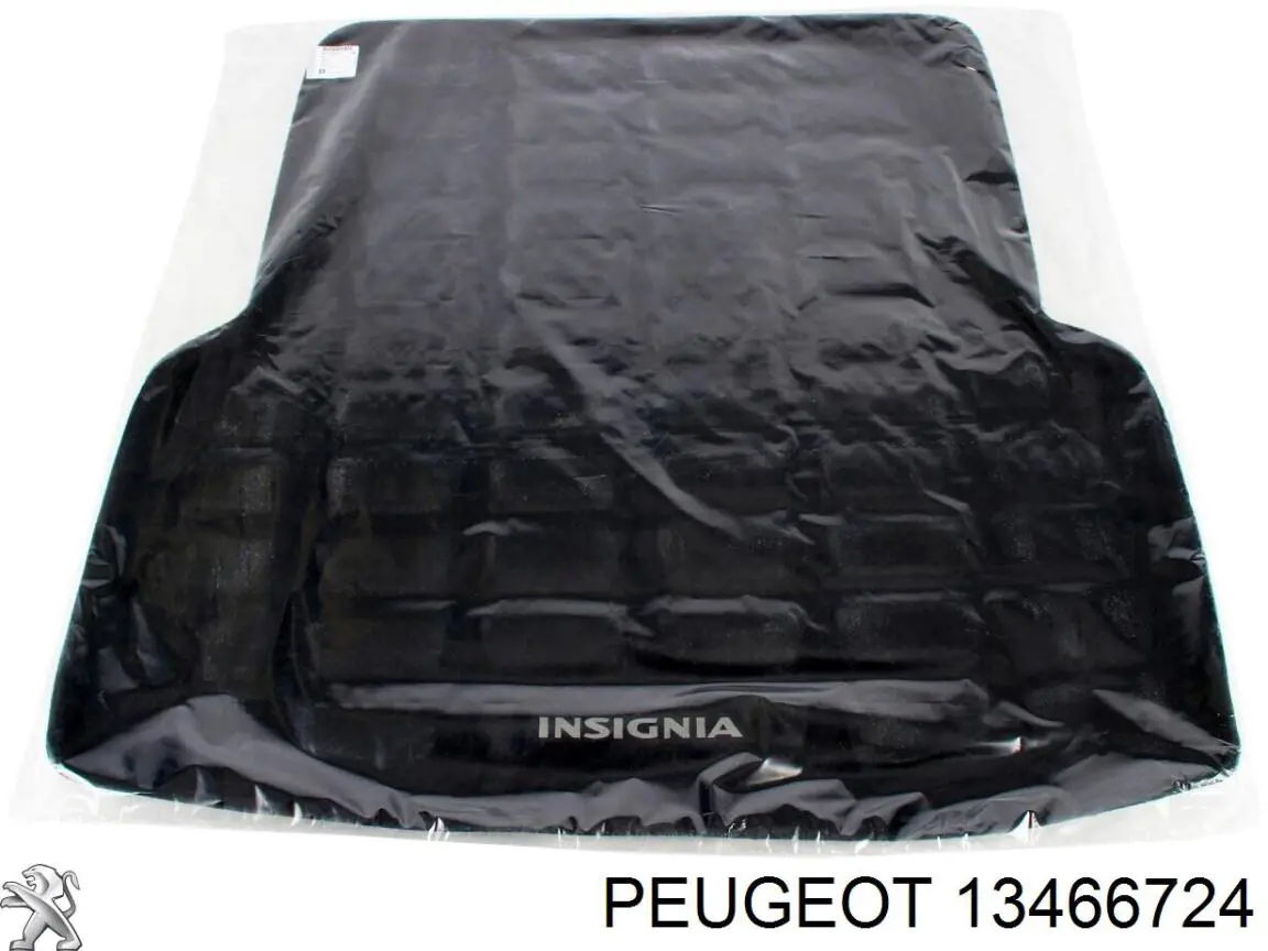  Peugeot/Citroen 13466724