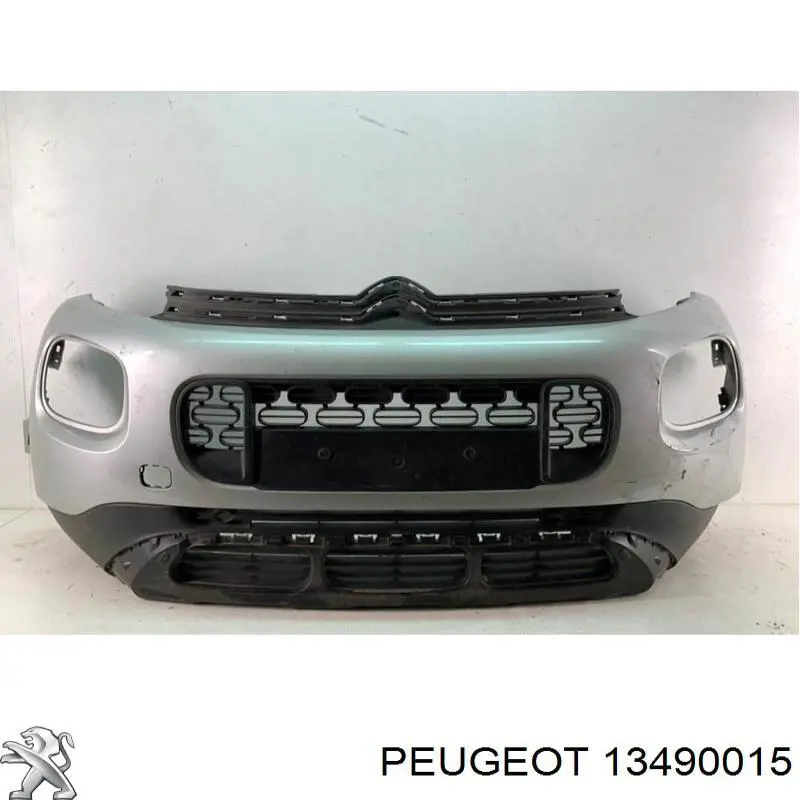 13490015 Peugeot/Citroen 