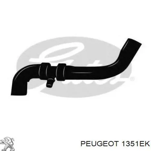 1351EK Peugeot/Citroen шланг/патрубок радіатора охолодження, нижній