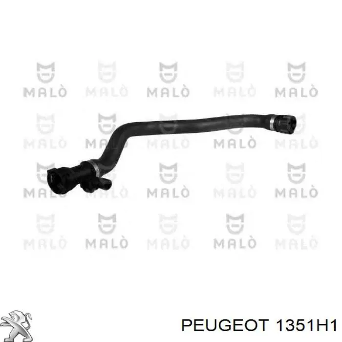 95667383 Peugeot/Citroen Шланг/патрубок радіатора охолодження, нижній