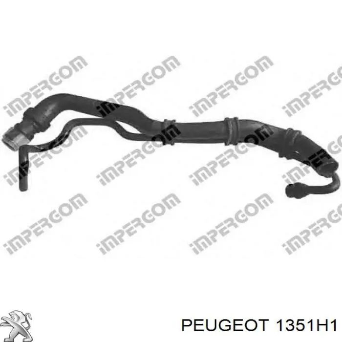 Купити 95667383 Peugeot/Citroen Шланг/патрубок радіатора охолодження, нижній