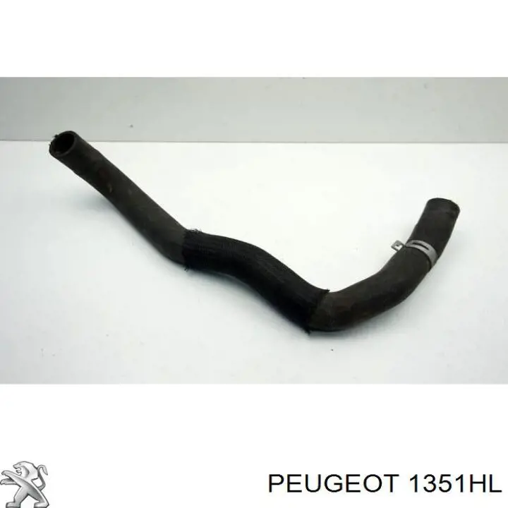 1351HL Peugeot/Citroen шланг/патрубок радіатора охолодження, нижній