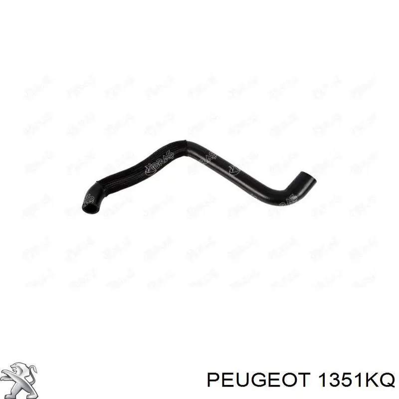 Купити 1351KQ Peugeot/Citroen Шланг/патрубок радіатора охолодження, нижній