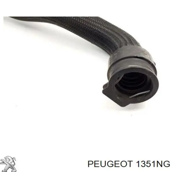 Купити 1351NG Peugeot/Citroen Трубопроводи і шланги системи охолодження