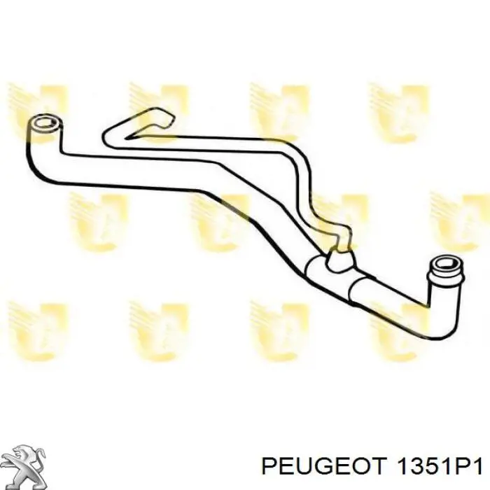Шланг/патрубок радіатора охолодження, нижній Peugeot/Citroen 1351P1 ціна, від 32.68 USD