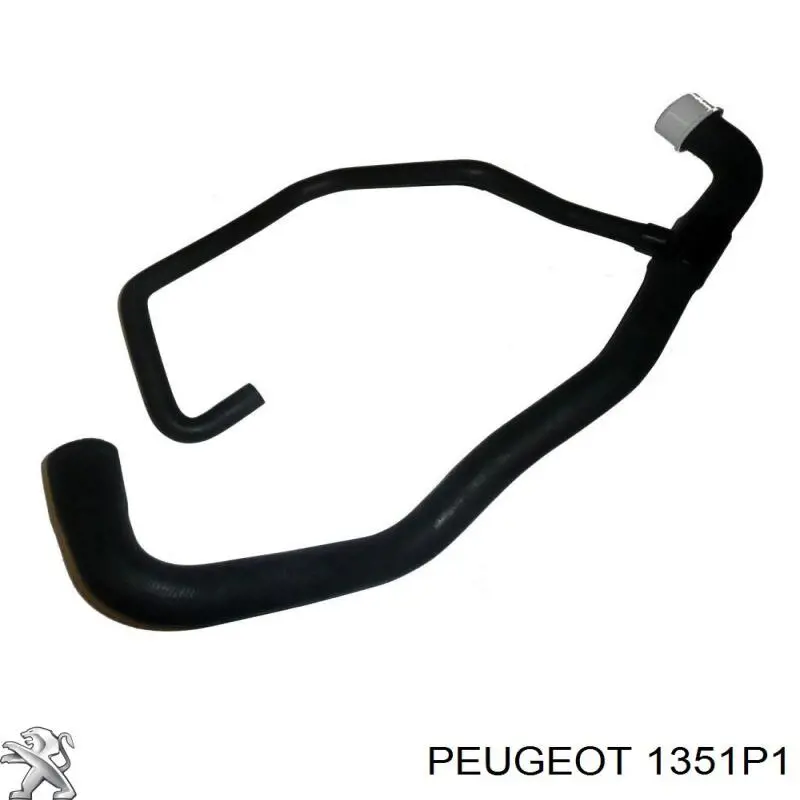 Купити 1351P1 Peugeot/Citroen Шланг/патрубок радіатора охолодження, нижній