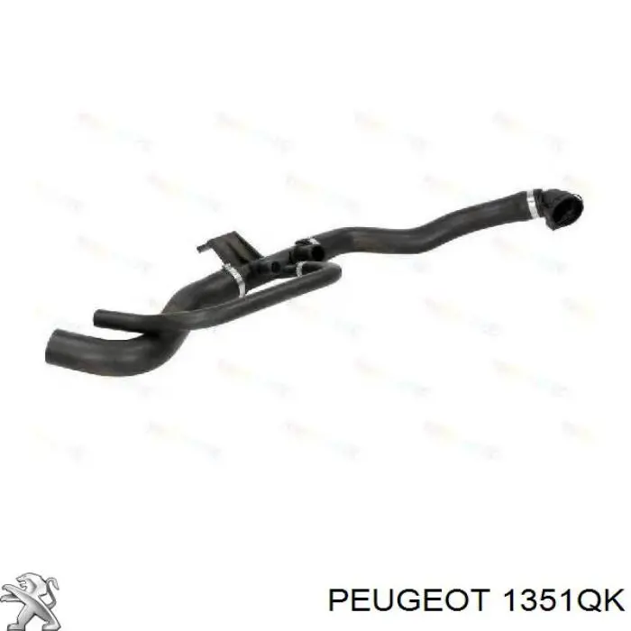Шланг/патрубок радіатора охолодження, нижній Peugeot/Citroen 1351QK ціна, від 27.88 USD