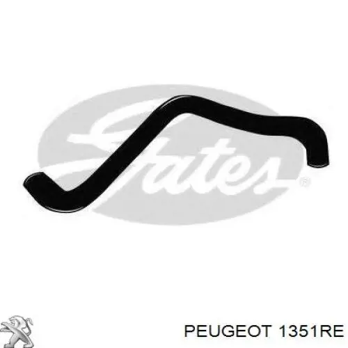 1351RE Peugeot/Citroen шланг/патрубок радіатора охолодження, нижній