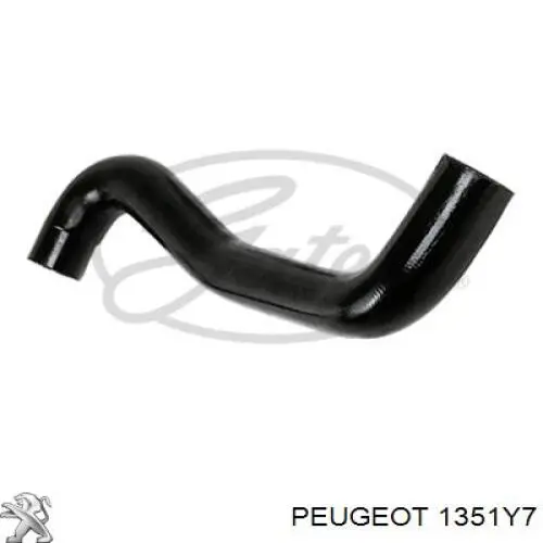 Купити 1351Y7 Peugeot/Citroen Шланг/патрубок радіатора охолодження, нижній