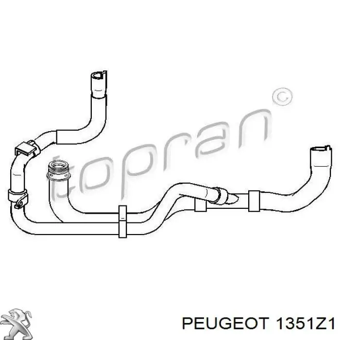 Шланг/патрубок радіатора охолодження, нижній Peugeot/Citroen 1351Z1 ціна, від 47.82 USD