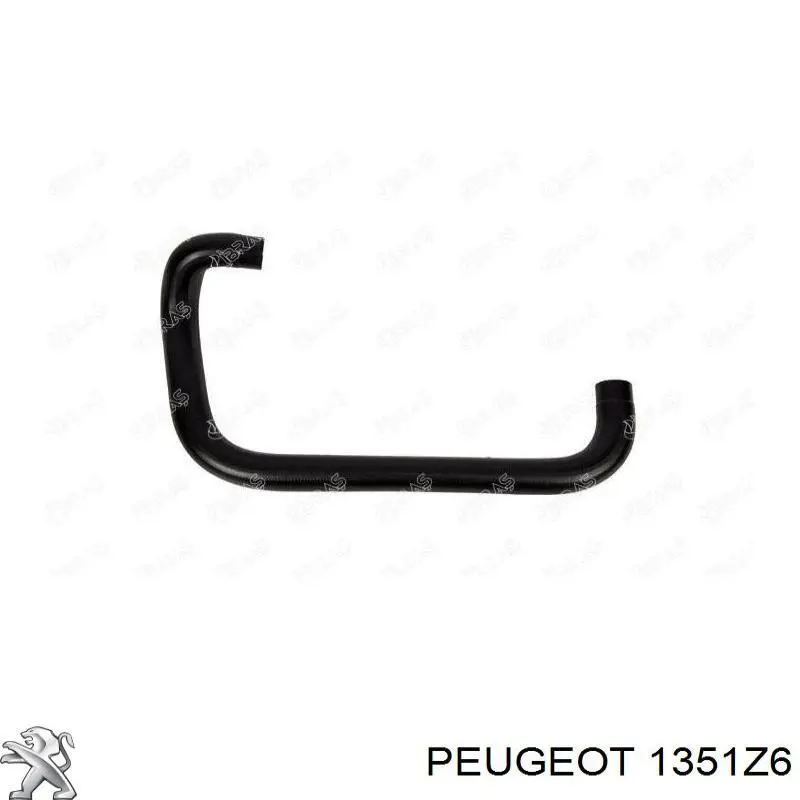 1351Z6 Peugeot/Citroen Шланг/патрубок радіатора охолодження, нижній