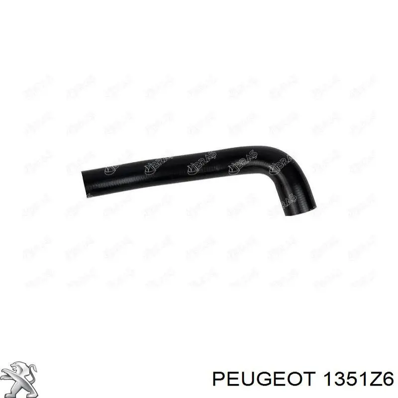 Шланг/патрубок радіатора охолодження, нижній Peugeot/Citroen 1351Z6 ціна, від 58.66 USD