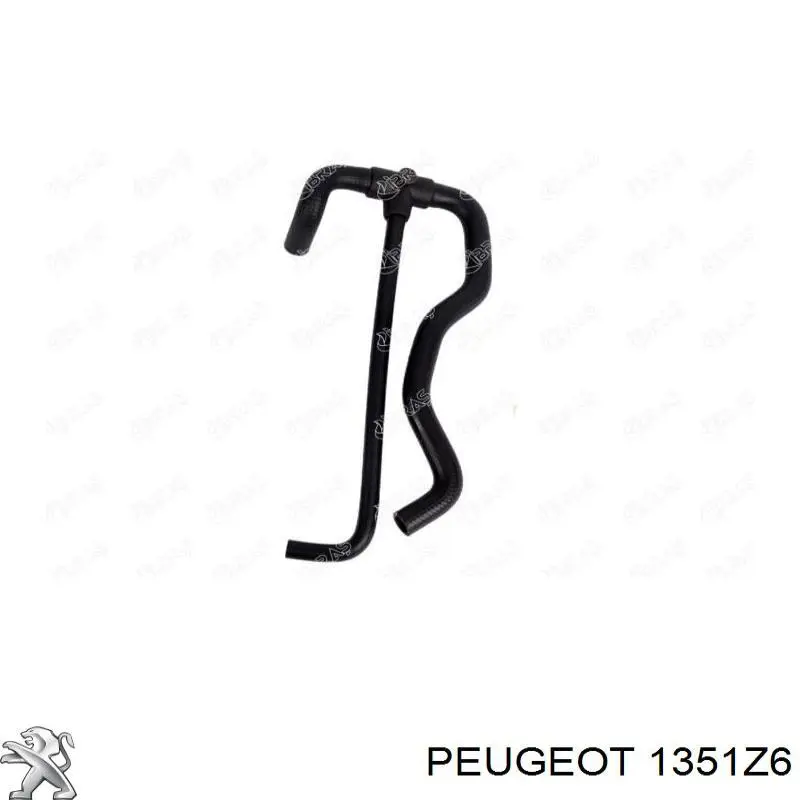 Купити 1351Z6 Peugeot/Citroen Шланг/патрубок радіатора охолодження, нижній