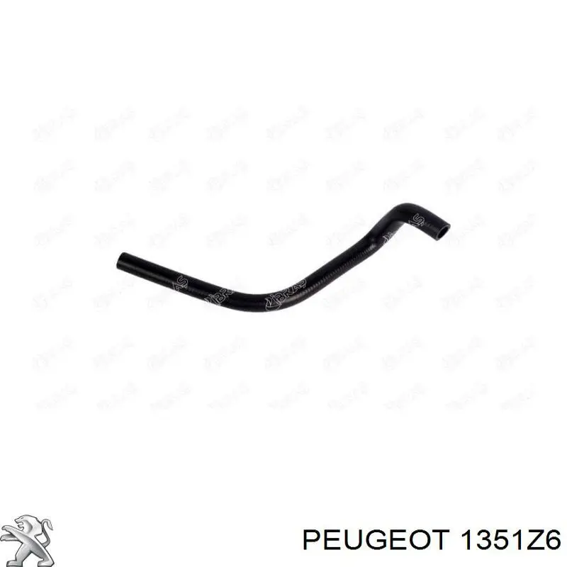Шланг/патрубок радіатора охолодження, нижній 1351Z6 Peugeot/Citroen