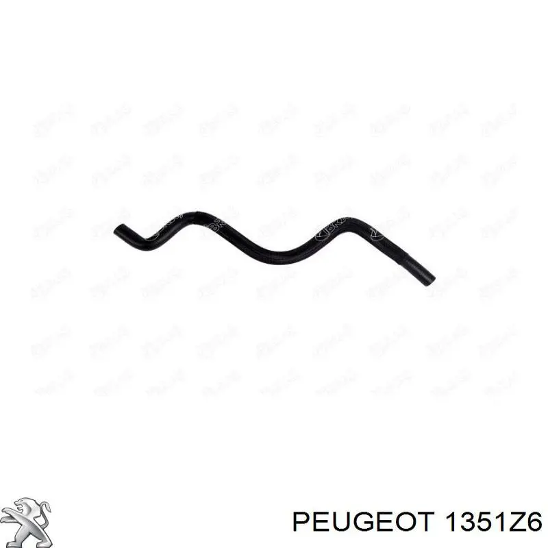 Шланг/патрубок радіатора охолодження, нижній Peugeot/Citroen 1351Z6