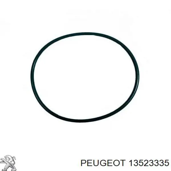  13523335 Peugeot/Citroen