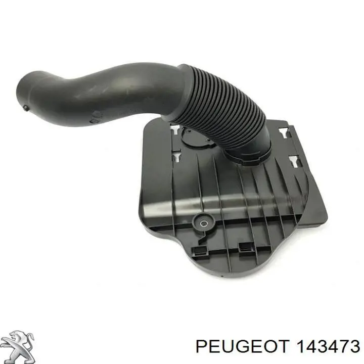 Повітрозабірник повітряного фільтра Peugeot 307 хетчбек (3A, 3C) (2000 - 2012) ціна, від  