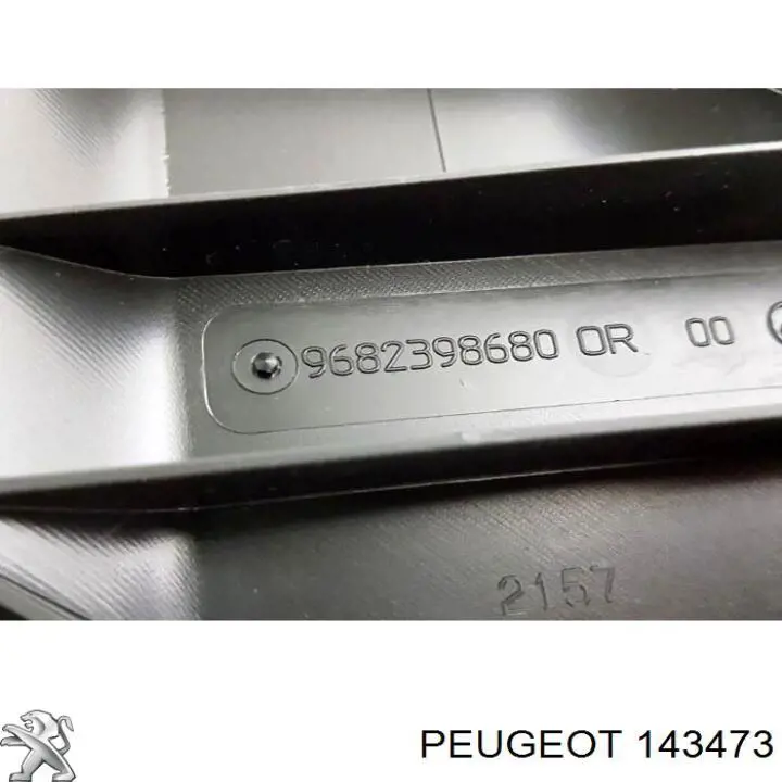 143473 Peugeot/Citroen повітрозабірник повітряного фільтра