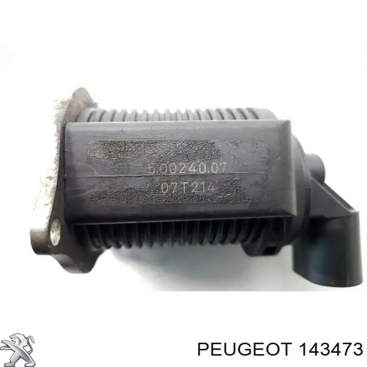 Купити Повітрозабірник повітряного фільтра Peugeot 307  3A, 3C