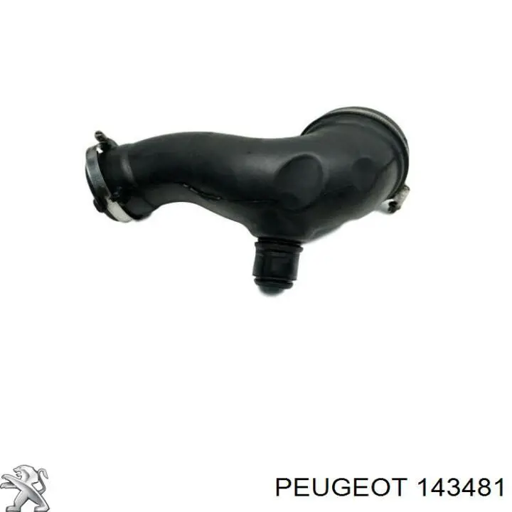 Купити 143481 Peugeot/Citroen 