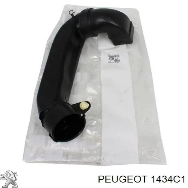 Патрубок повітряний, вхід повітряного фільтра на Peugeot 207 (WA, WC)