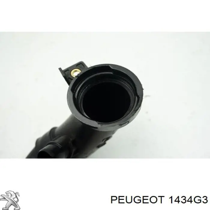 Купити 1434G3 Peugeot/Citroen Патрубок повітряний, вхід в турбіну (наддув)