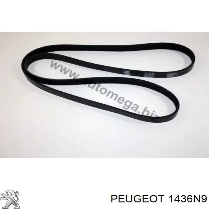 Купити 1436N9 Peugeot/Citroen Кронштейн повітряного фільтра