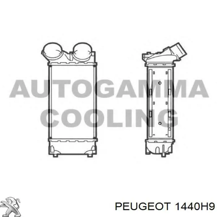 1440H9 Peugeot/Citroen радіатор интеркуллера