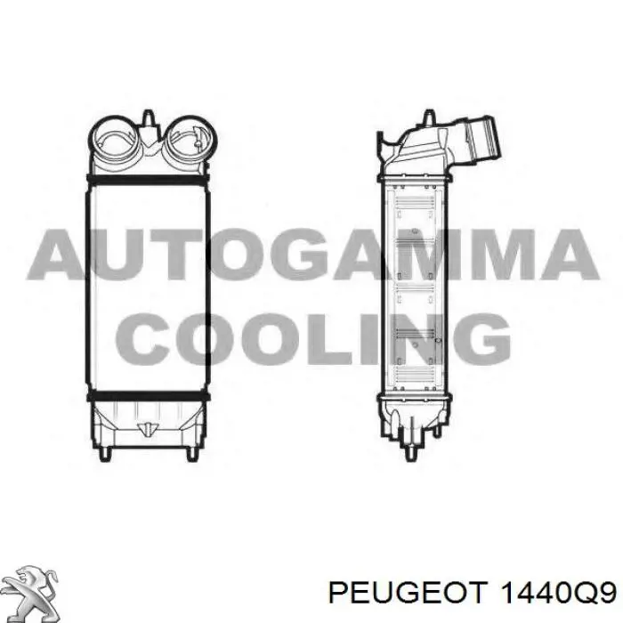 1440Q9 Peugeot/Citroen радіатор интеркуллера