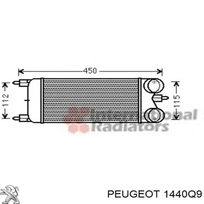 Купити 1440Q9 Peugeot/Citroen Радіатор интеркуллера
