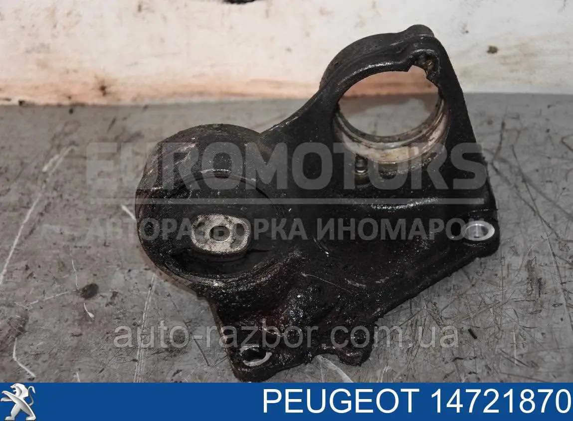  14721870 Peugeot/Citroen