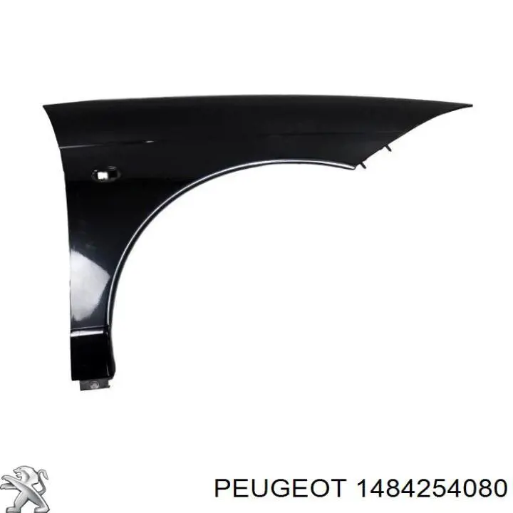  1484254080 Peugeot/Citroen