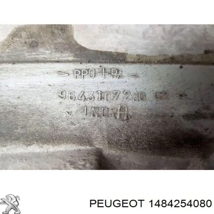  Peugeot/Citroen 1484254080