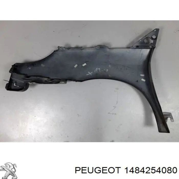1484254080 Peugeot/Citroen 