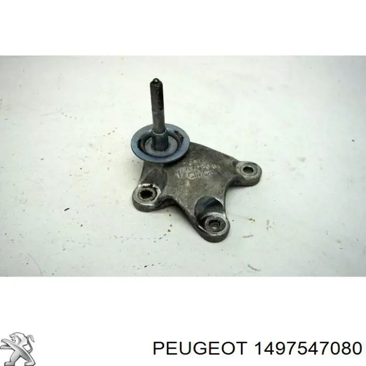  1497547080 Peugeot/Citroen