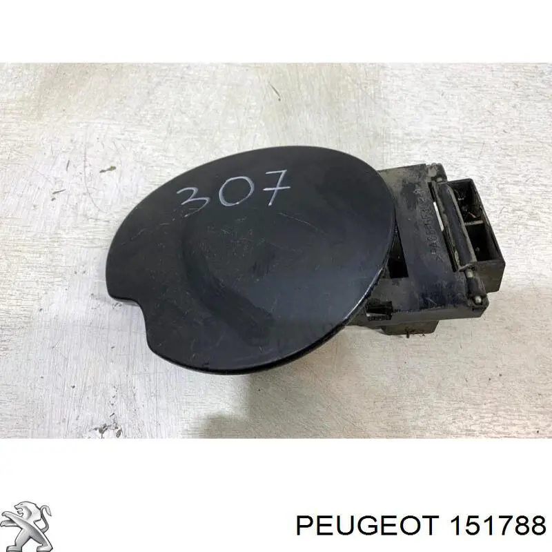 Лючок бензобака/паливного бака на Peugeot 307 (3A, 3C)