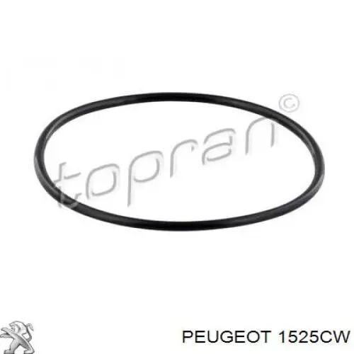 Модуль бензонасоса Peugeot/Citroen 1525CW ціна, від 62.99 USD