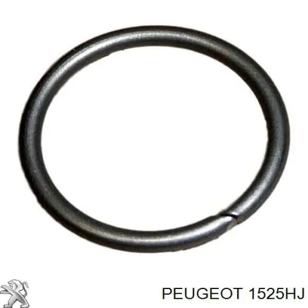 Купити 1525HJ Peugeot/Citroen Насос занурювальний в баці