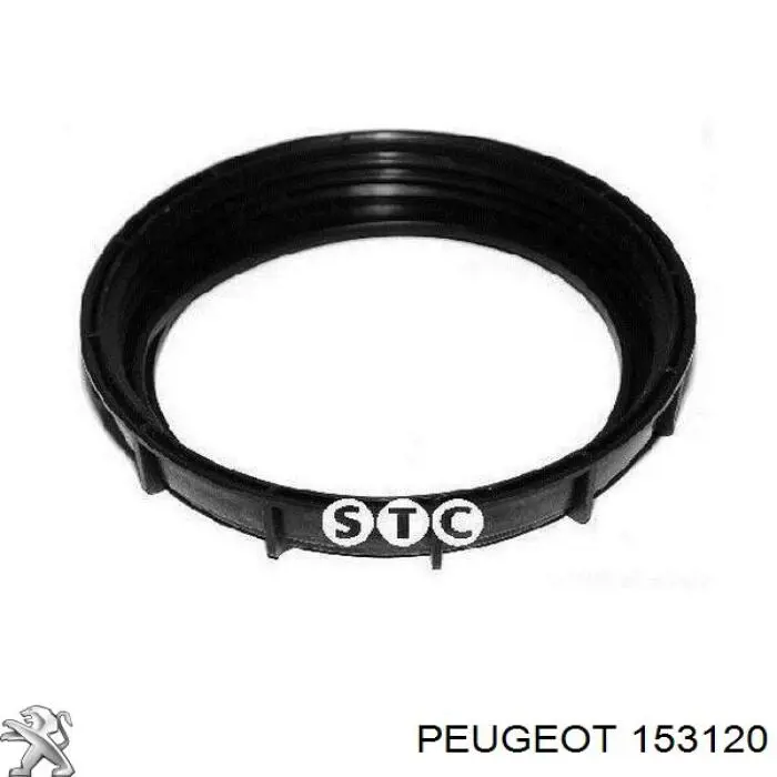 Купити 153120 Peugeot/Citroen Кришка паливного насоса