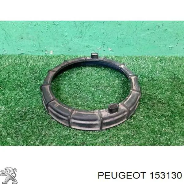 Купити 153130 Peugeot/Citroen Кришка паливного насоса