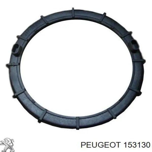 Кришка паливного насоса 153130 Peugeot/Citroen