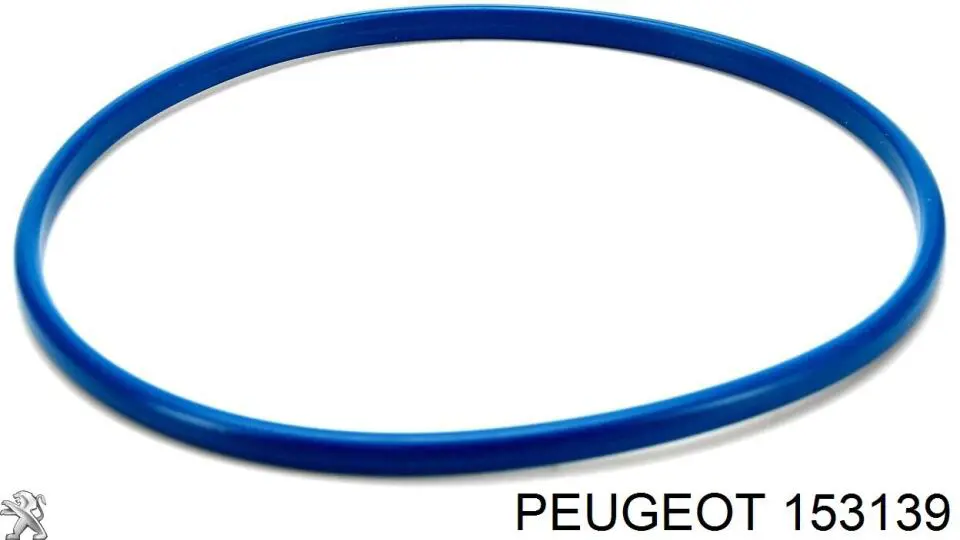 153139 Peugeot/Citroen ущільнювач паливного насосу